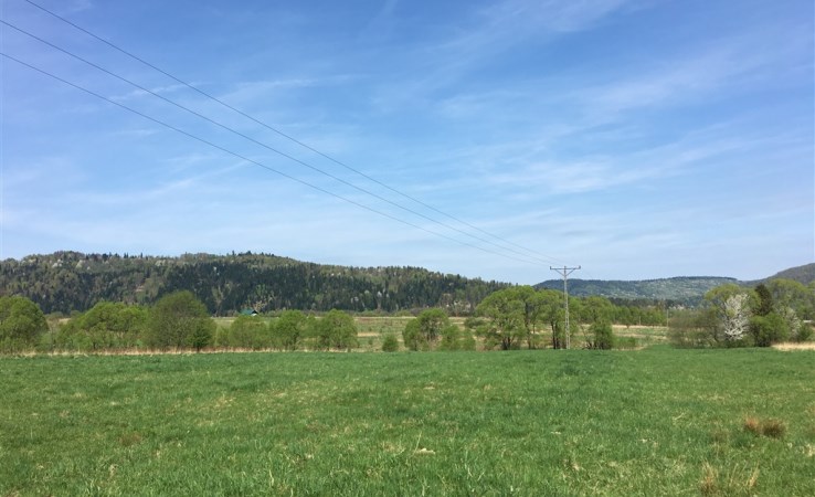 działka na sprzedaż - Jeleśnia