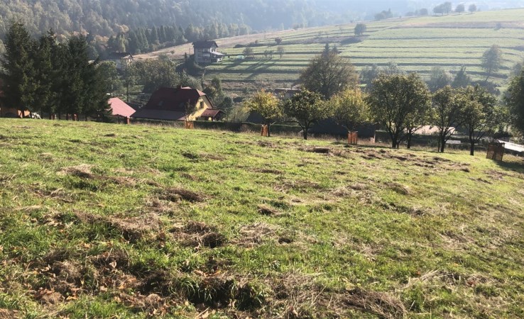 działka na sprzedaż - Świnna, Trzebinia