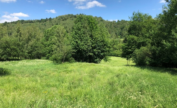 działka na sprzedaż - Jeleśnia, Sopotnia Wielka