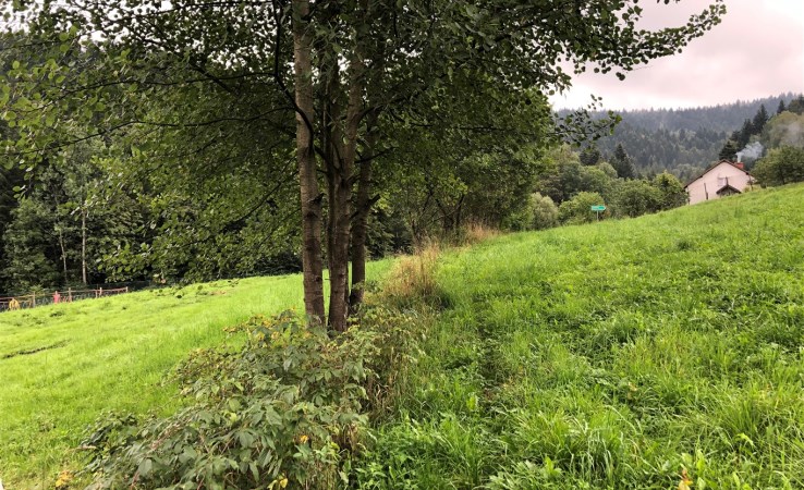 działka na sprzedaż - Jeleśnia, Pewel Wielka