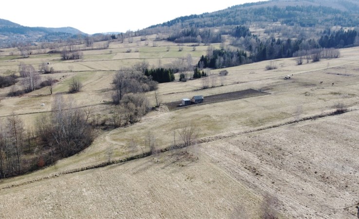 działka na sprzedaż - Jeleśnia, Krzyżowa