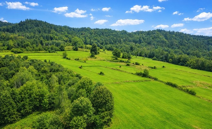 działka na sprzedaż - Jeleśnia, Przyborów